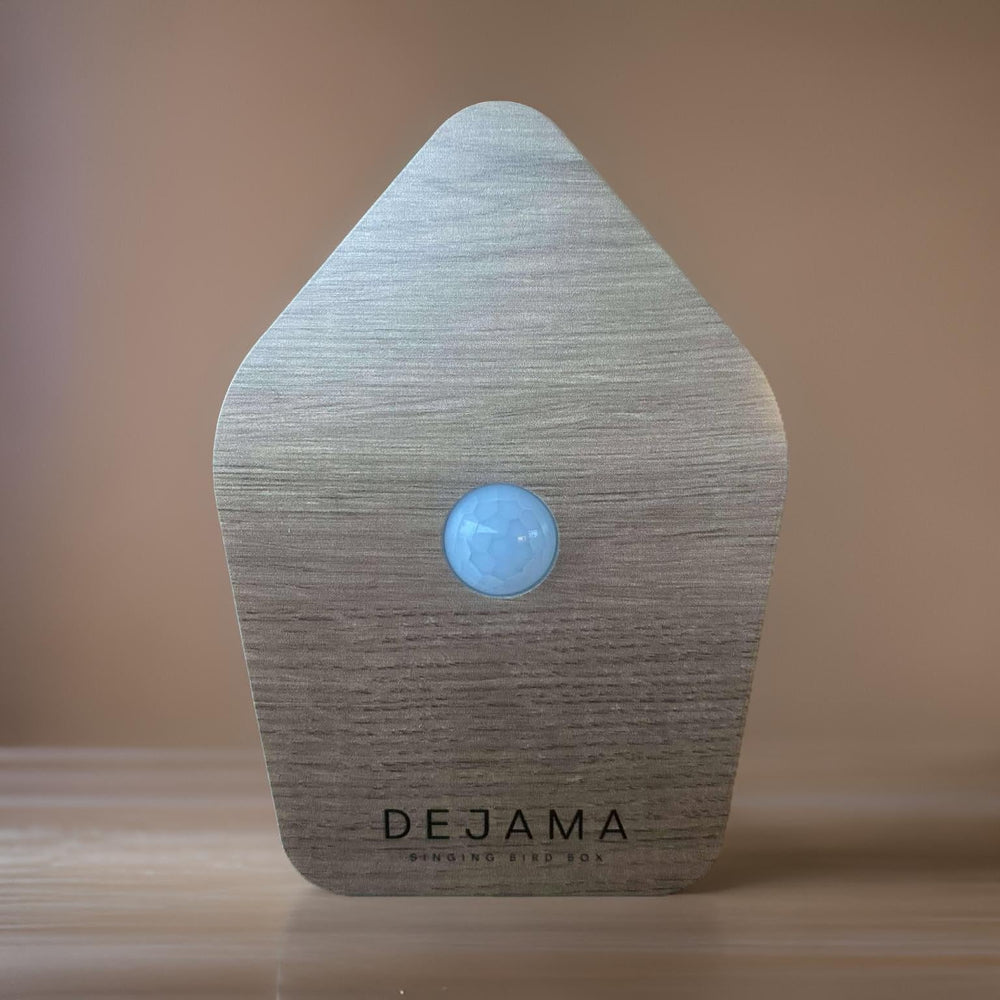 Dejama Singing Bird Box battery compartment supports hours of play with 3 AAA batteries.