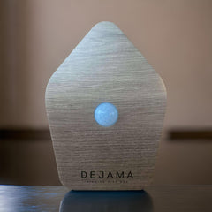 Dejama Singing Bird Box with motion sensor delivers calming birdsong on approach for instant nature ambience.