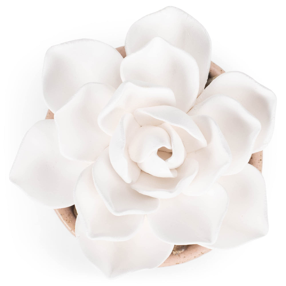 Demdaco 3x5 inch succulent close-up on tabletop diffuser