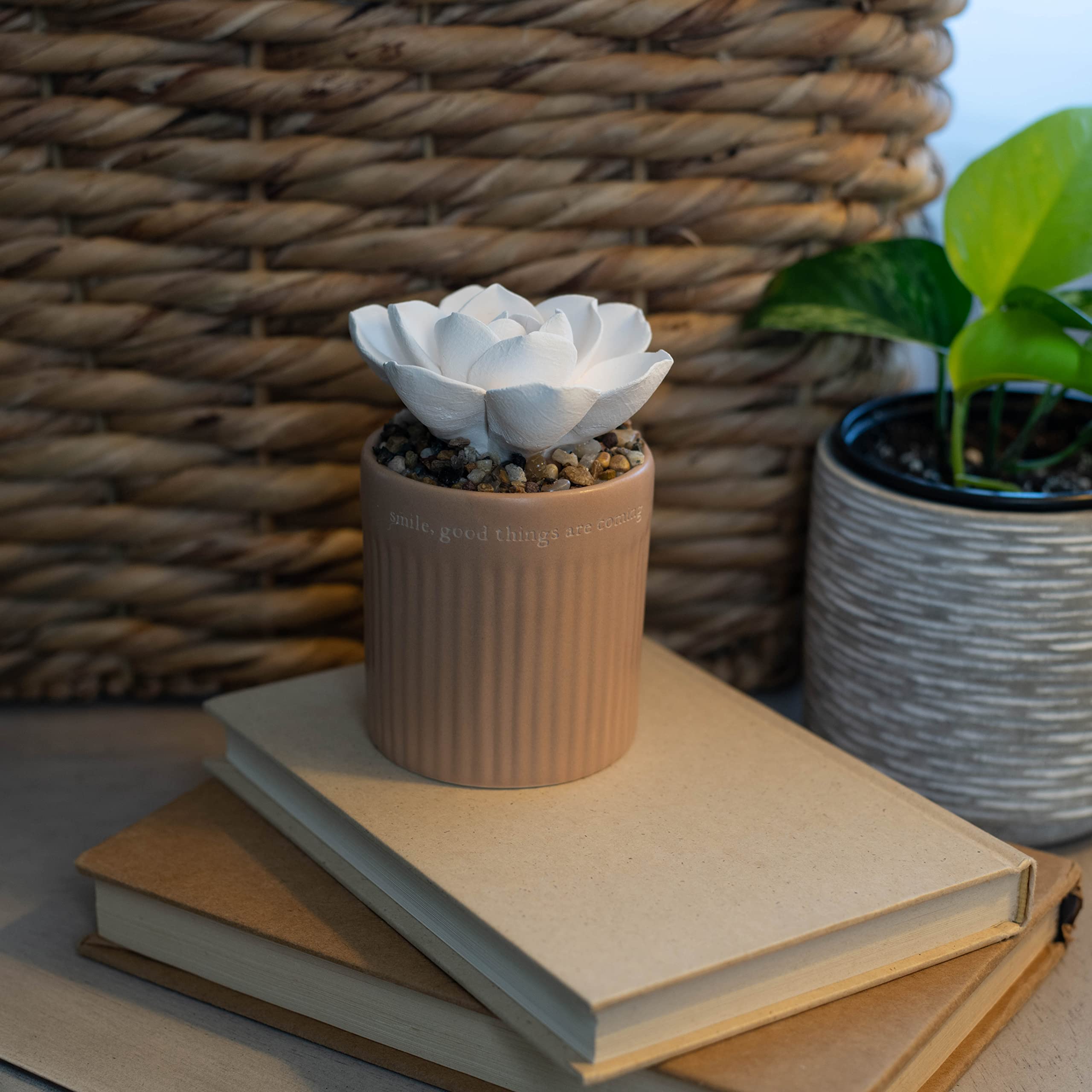 Demdaco diffuser with sentiment on beige surface suitable for desks