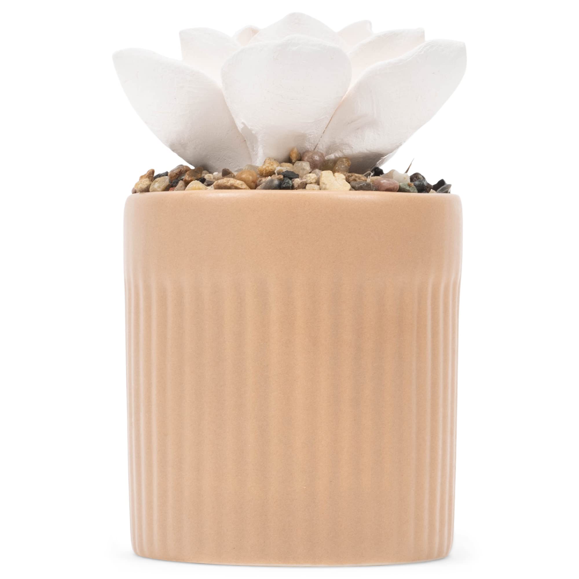Demdaco beige succulent top view on diffusers for compact tabletop use