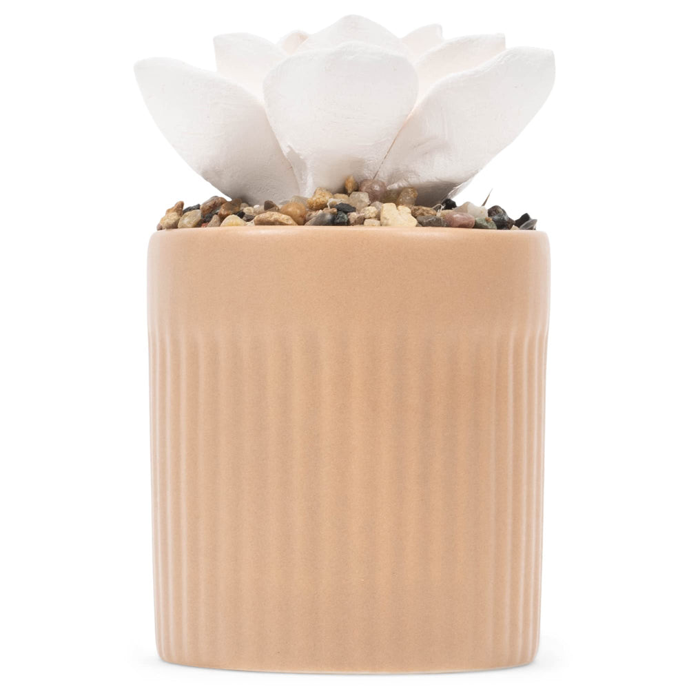 Demdaco beige succulent top view on diffusers for compact tabletop use