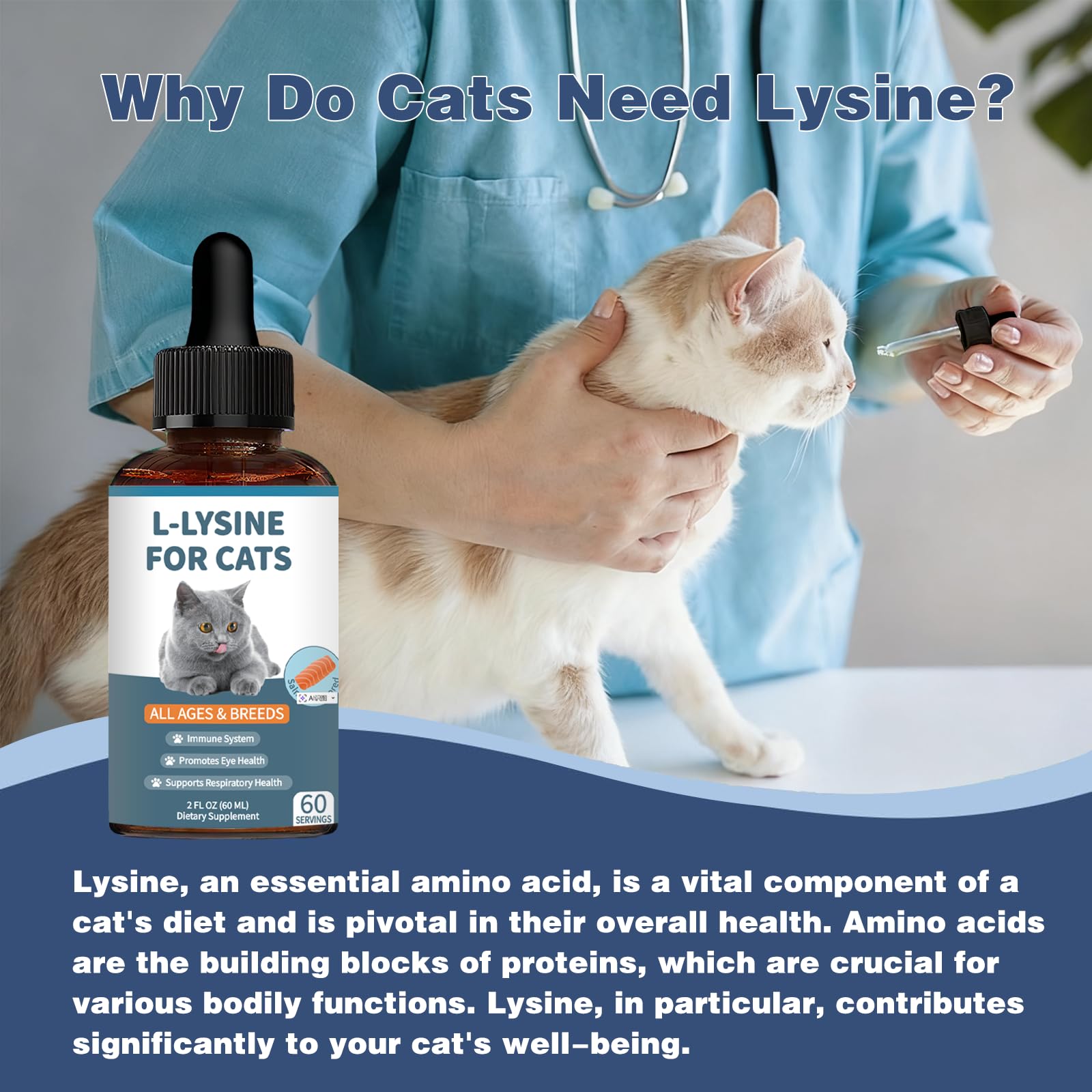 Derggzey L-Lysine cats daily-dosing bottle-closeup conveys routine supplementation.