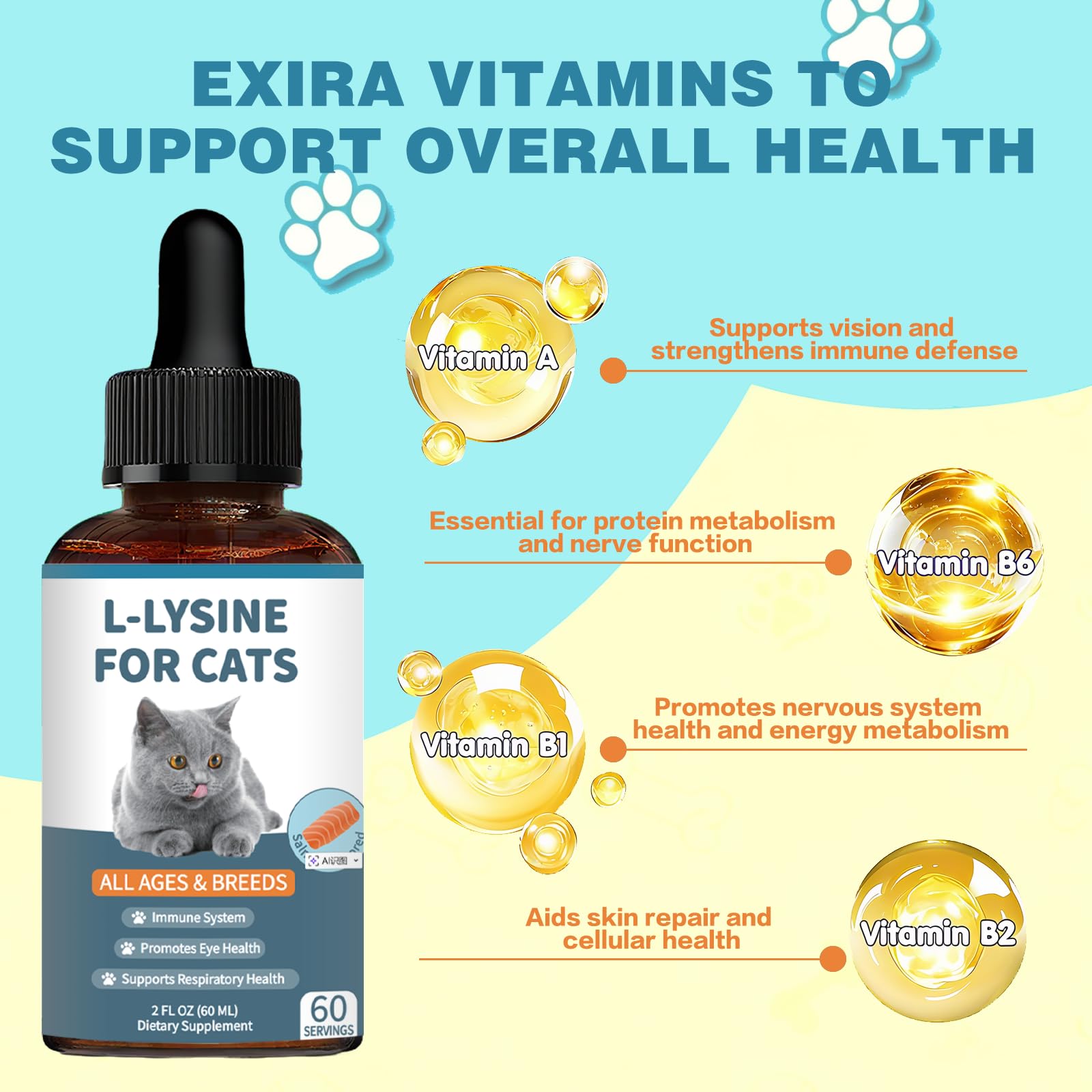 Derggzey L-Lysine cats immune-support label emphasizes vet-formulated ingredients.