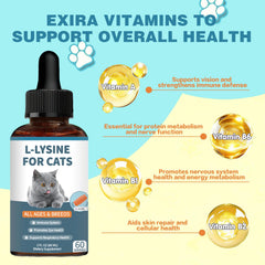 Derggzey L-Lysine cats immune-support label emphasizes vet-formulated ingredients.
