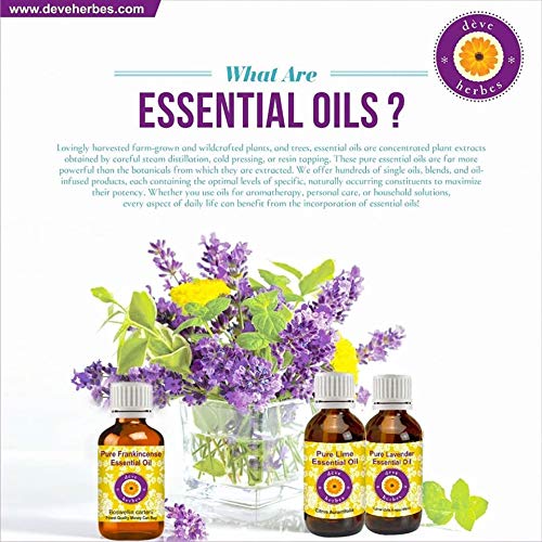 Dilution guide for Deve Herbes Bay Laurel Oil for safe skin and hair use
