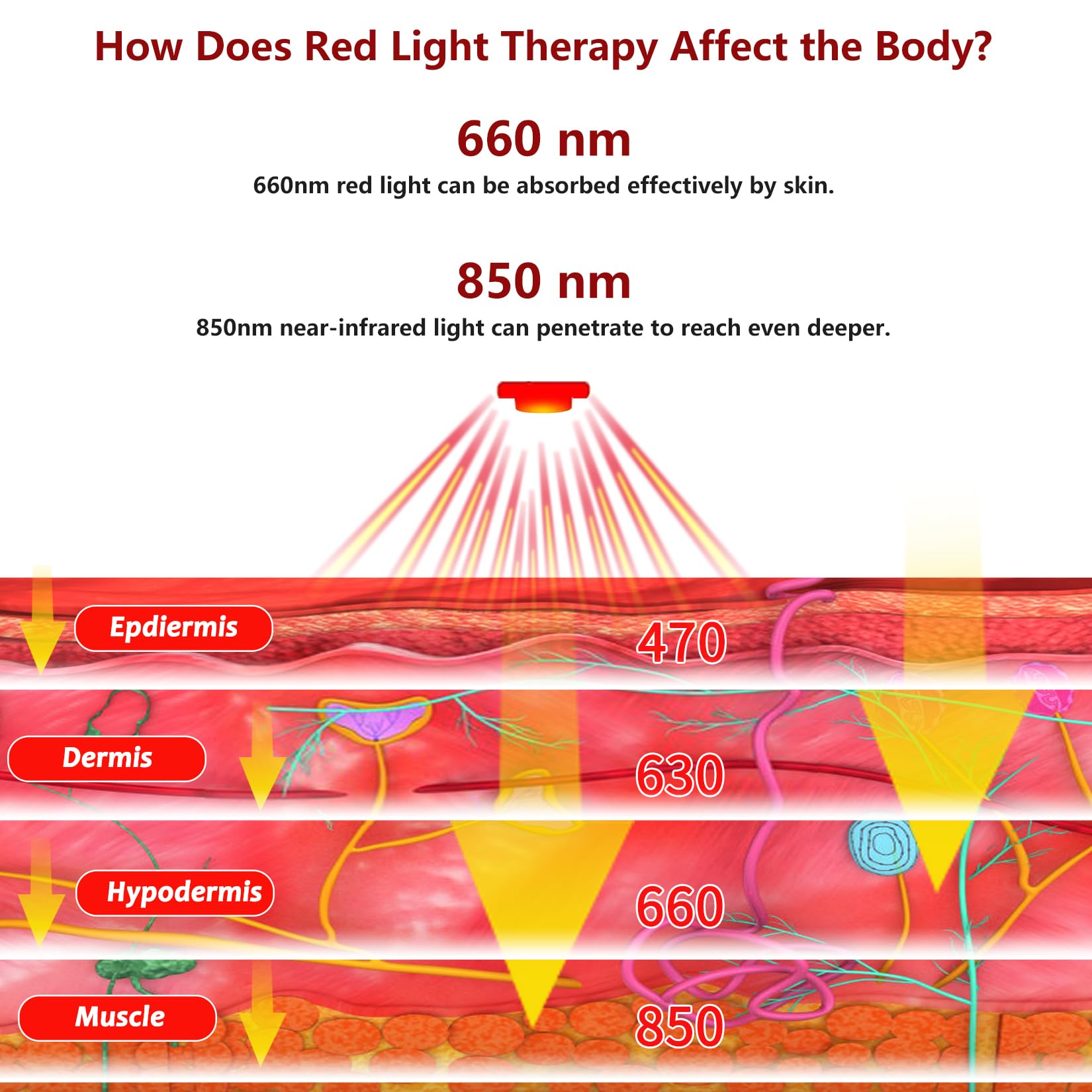 DGXINJUN 4000mAh battery powers longer therapy sessions between charges.