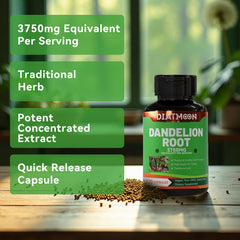 DIATMOON dandelion root pack shows 120 capsules for four months.