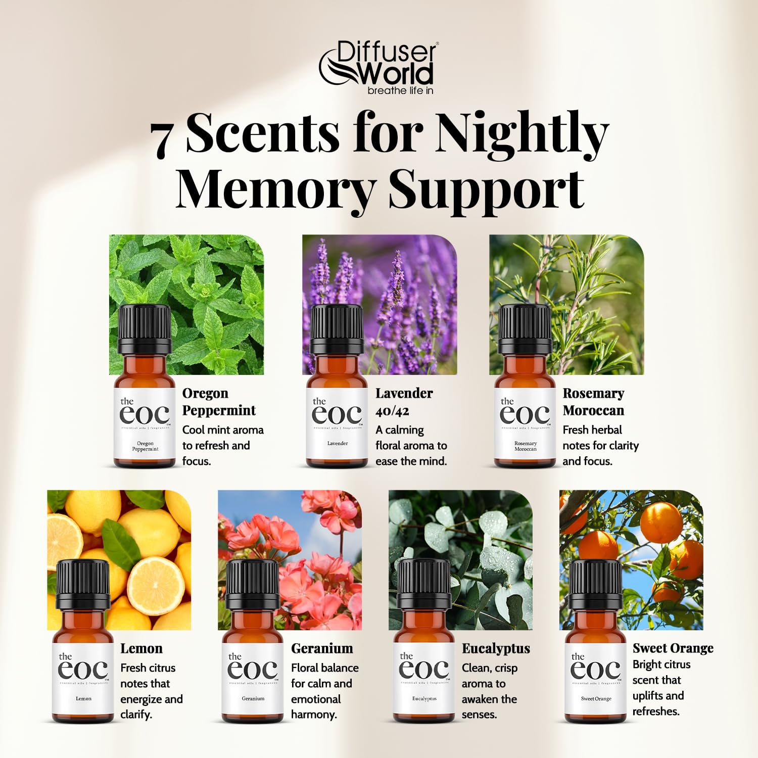DIFFUSER WORLD Geranium bottle pour fills your room with floral notes.