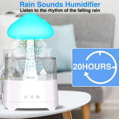 Diffuserlove cloud-humidifier 450ml demonstrates gentle moisture for comfortable air.