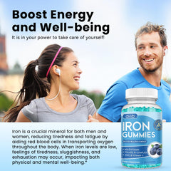Dilib iron gummies ingredients chart emphasizes vitamin B complex and zinc for vitality.