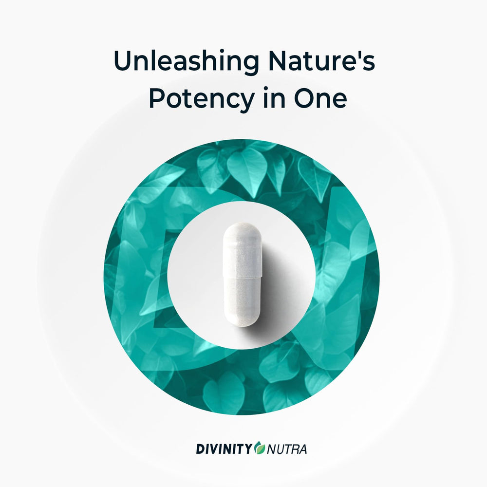 Divinity Nutra Chitosan manufacturing facility illustrating cGMP standards.