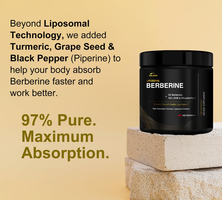 DLNIA Liposomal Berberine ingredients graphic shows DHB and liposomal complex