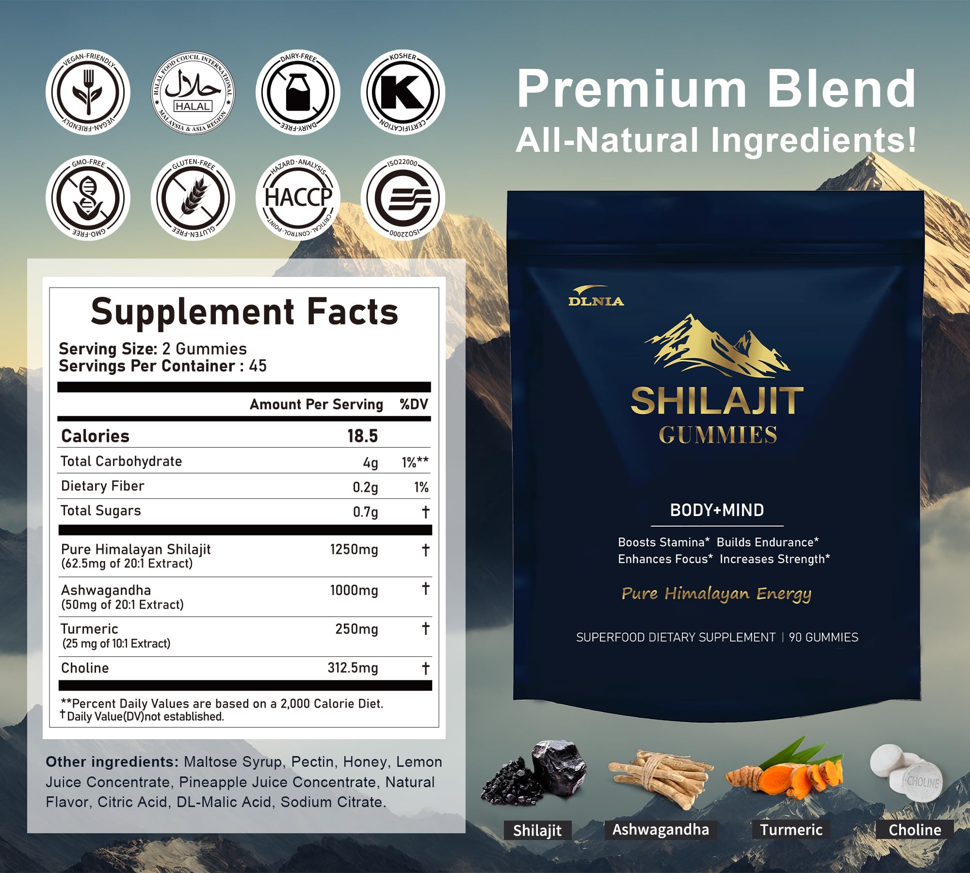 DLNIA Shilajit Gummies in hand for quick daily energy and focus