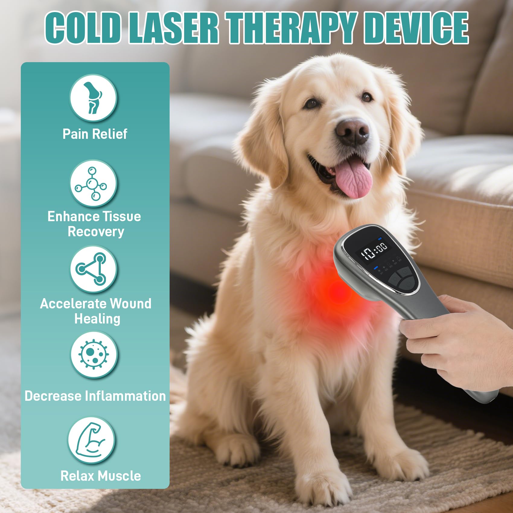 Pet owner using the stand for hands free treatment sessions.