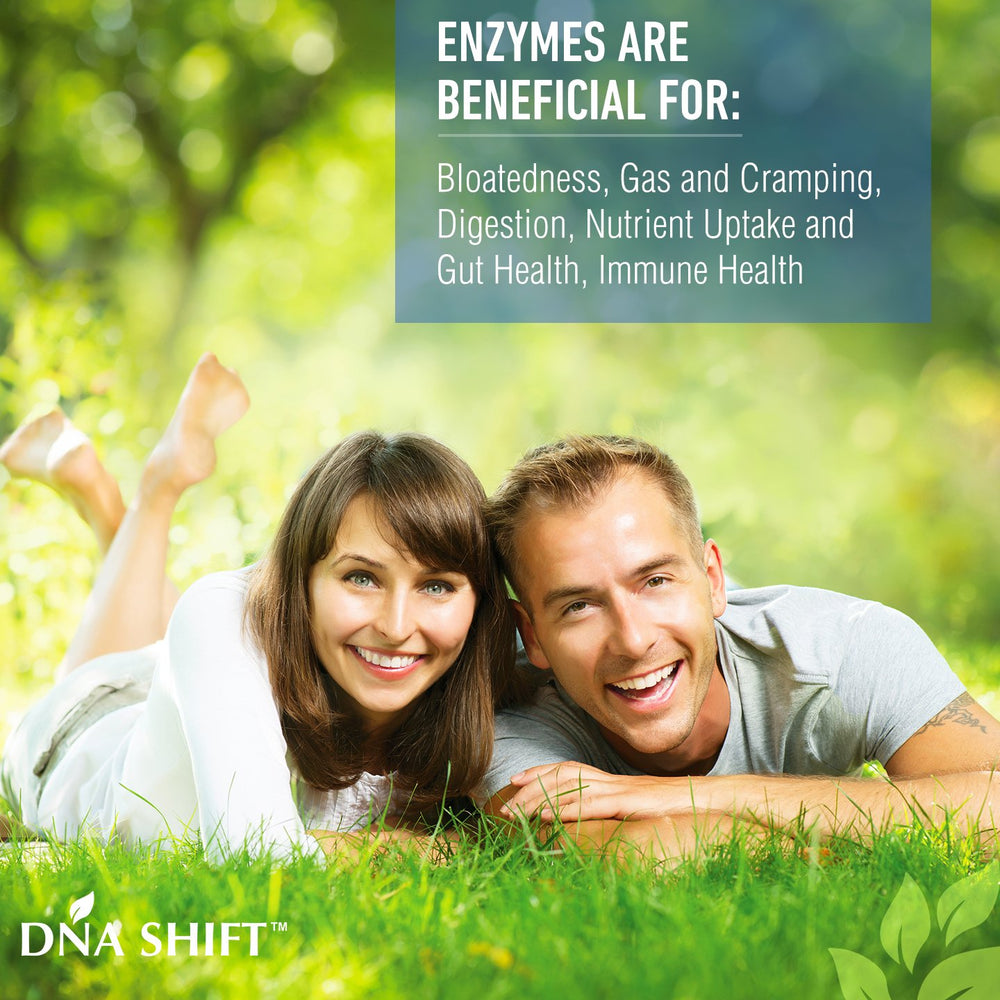 DNA SHIFT illustration explains digestion and nutrient uptake