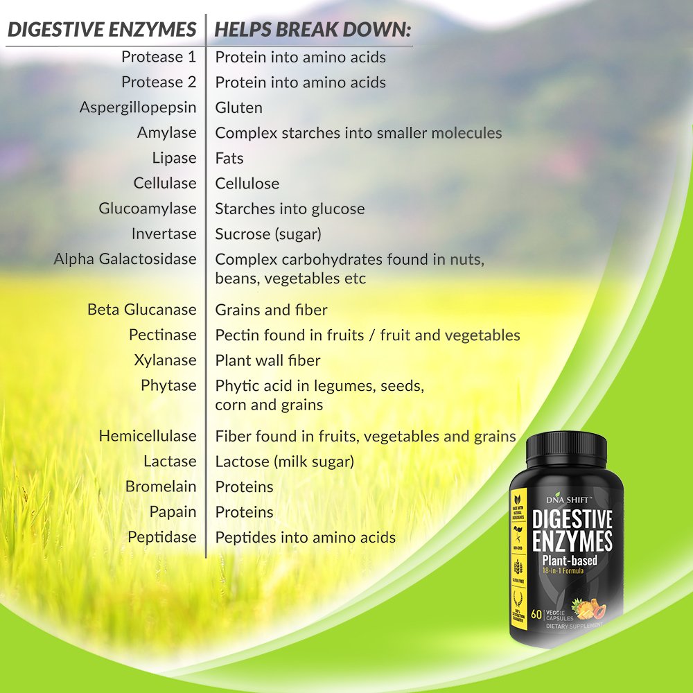 DNA SHIFT veggie caps in jar for daily digestive support