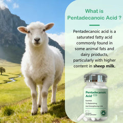 DNOUHN pristine pasture scene, illustrating purity from pristine grazing.