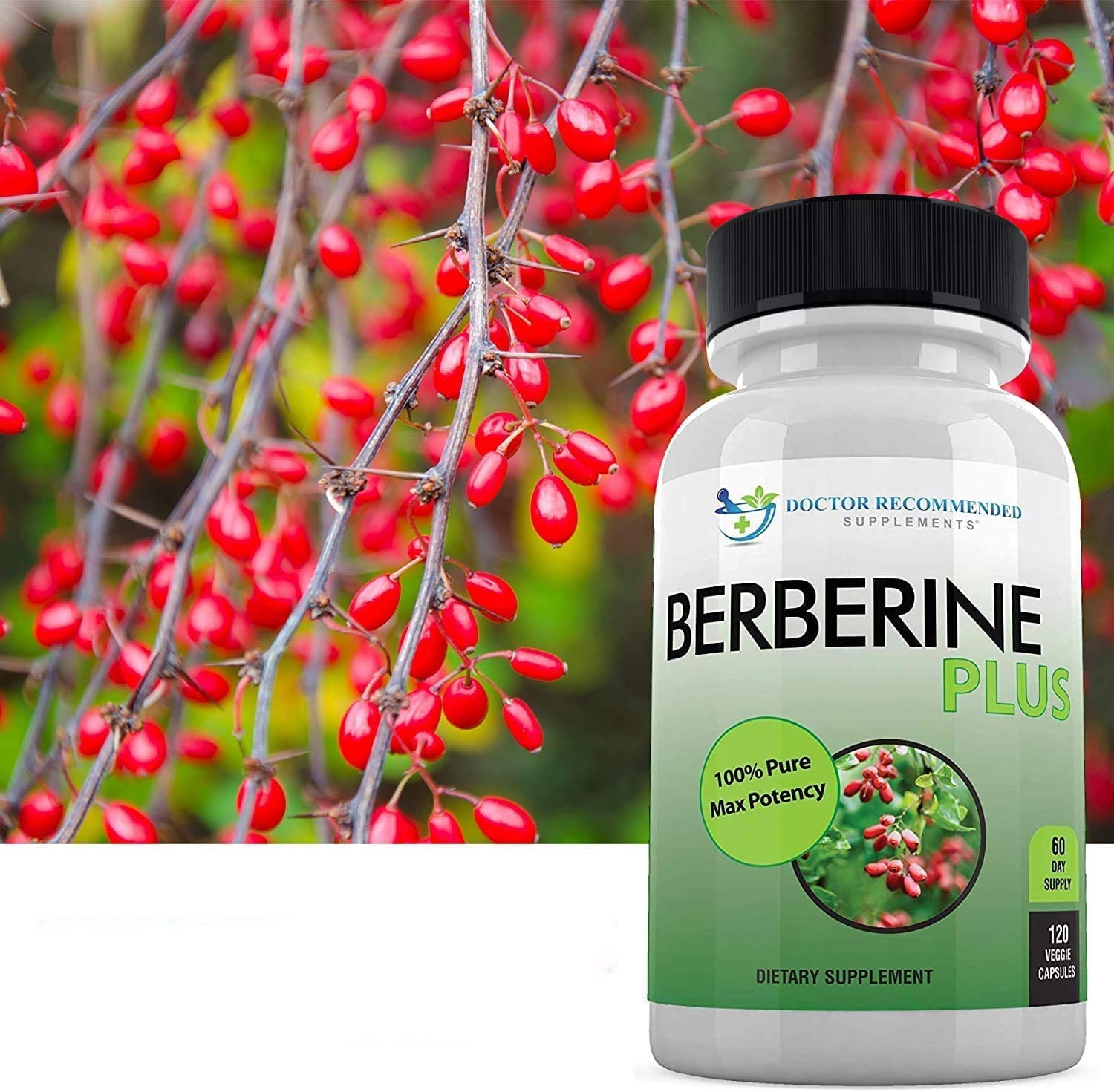 Doctor Recommended Supplements Berberine Plus bottle shows Made in USA quality commitment for trusted safety.