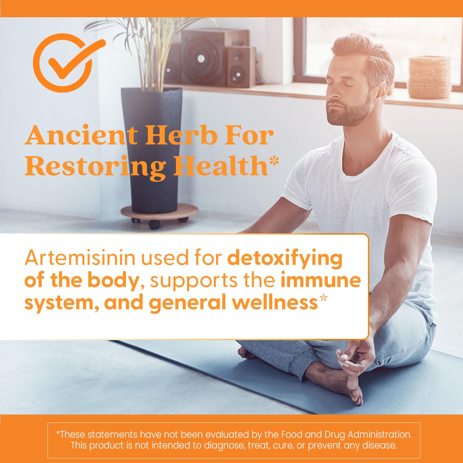 Doctor's Best Artemisinin dosage chart illustrates 2 capsules per day.