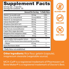 Ingredients scene with collagen and minerals for bone matrix