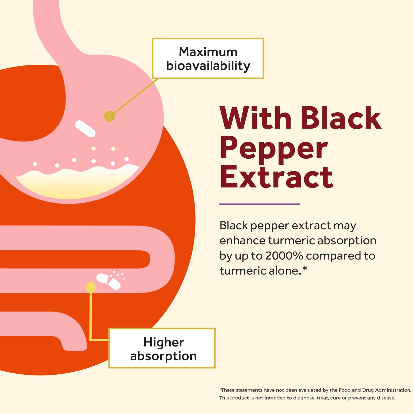 Doctor's Recipes GMP certification seal denotes quality standards