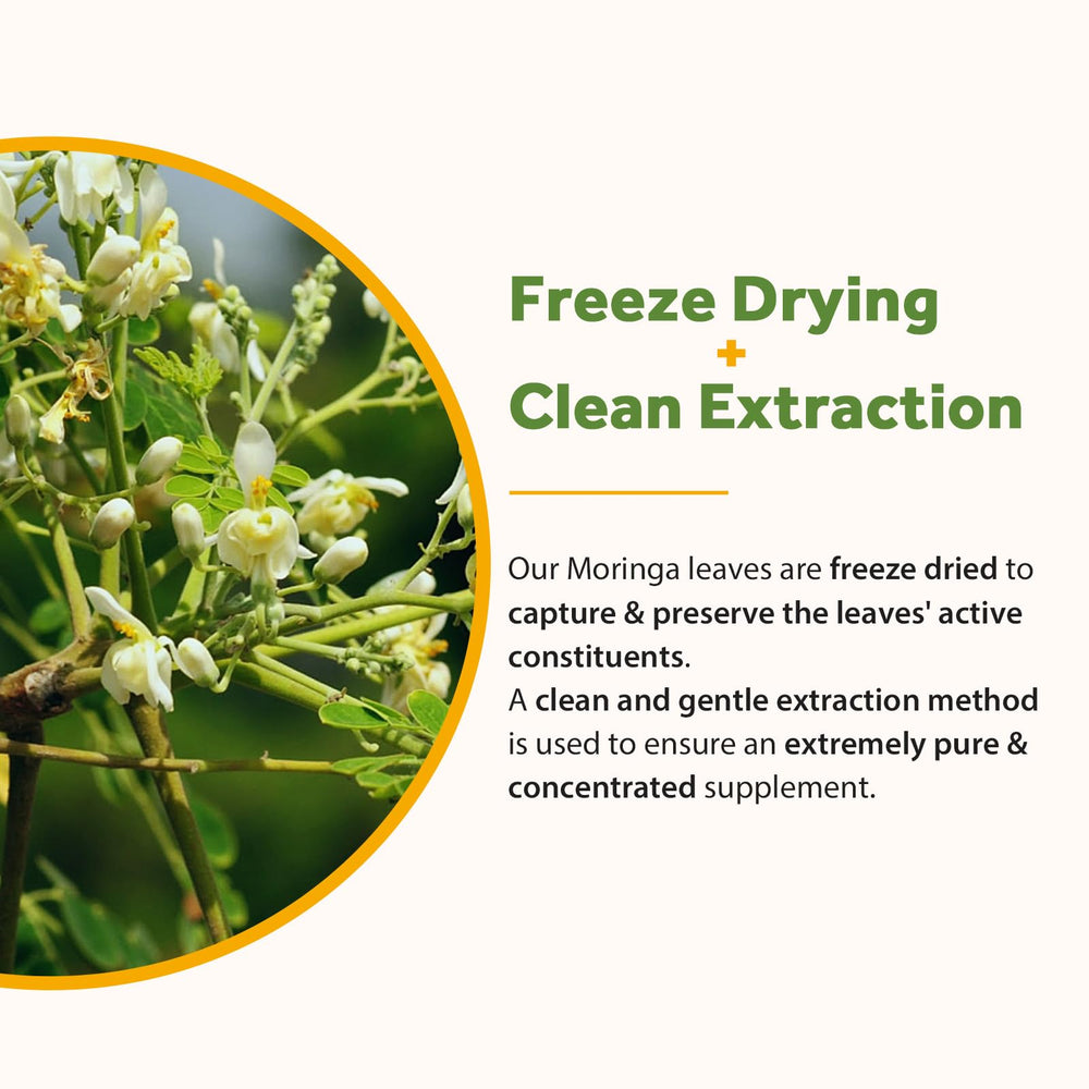 Simple daily routine with Doctor's Recipes Moringa supports an active lifestyle