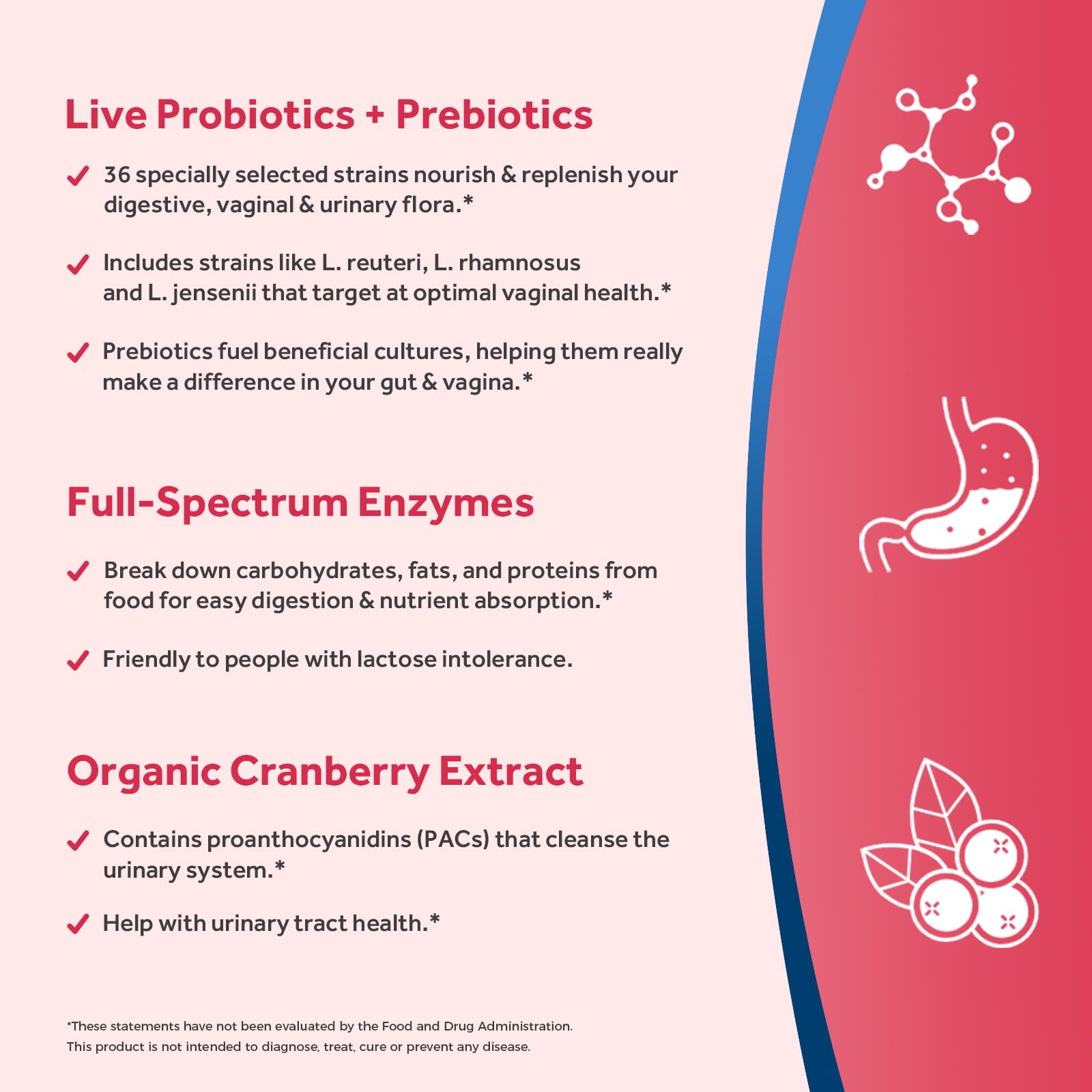 Doctor's Recipes Probiotics for Women cranberry enzymes illustration highlights digestive support