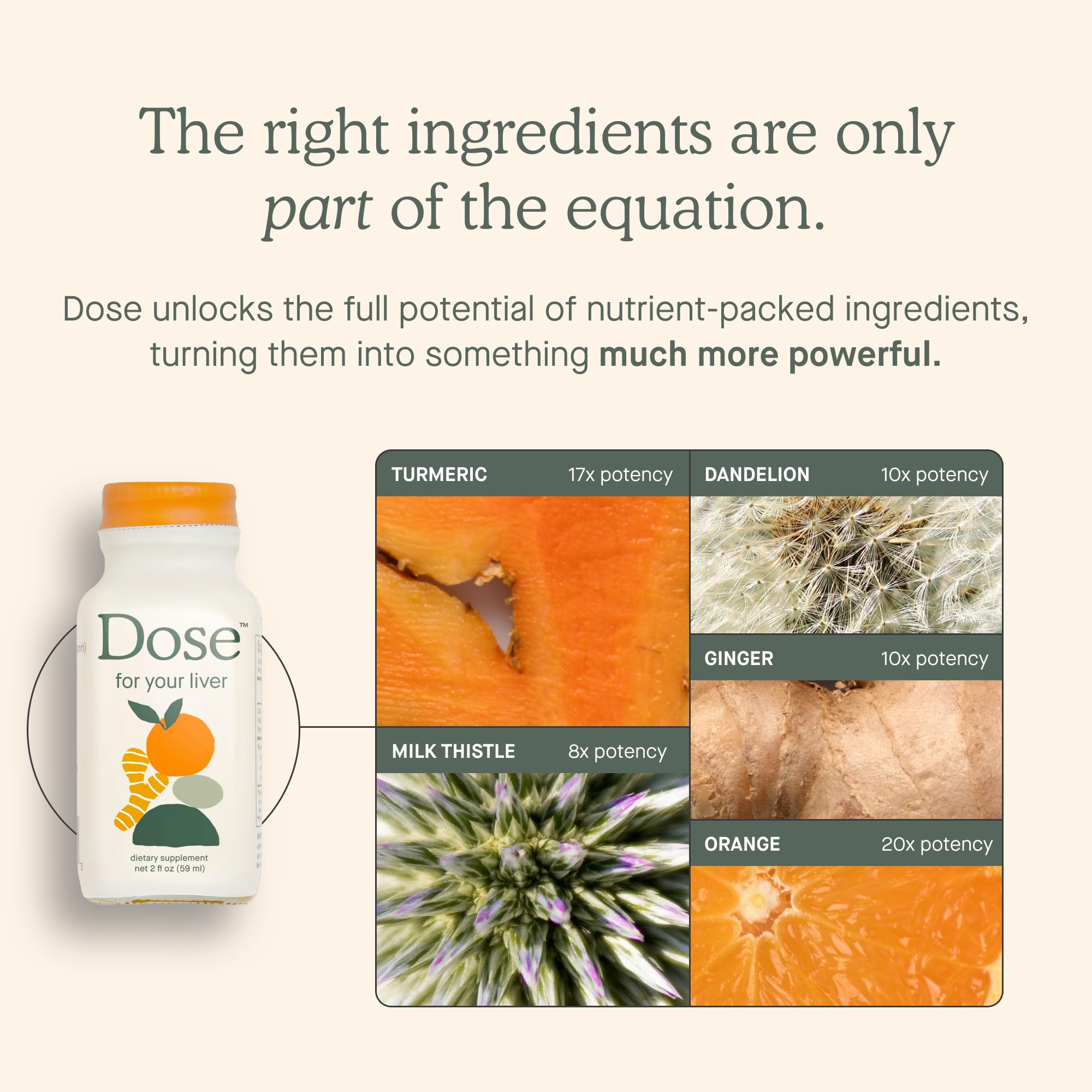 DOSE Liver Cleanse bottle label highlighting turmeric and bioflavonoids for enzyme support.