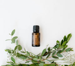 doTERRA Cassia aroma diffusing in a diffuser for a warm space