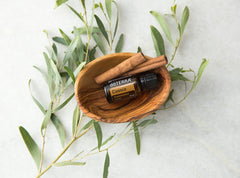 doTERRA Cassia bottle shown with dilution reminder for skin safety