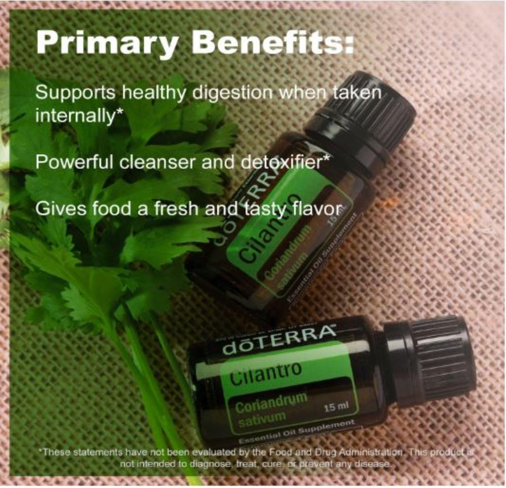 doTERRA cilantro essential oil diffuser for a fresh, herbal aroma.