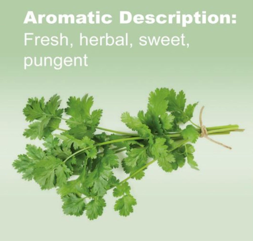 doTERRA Cilantro oil enhances guacamole with a fresh, zesty note.