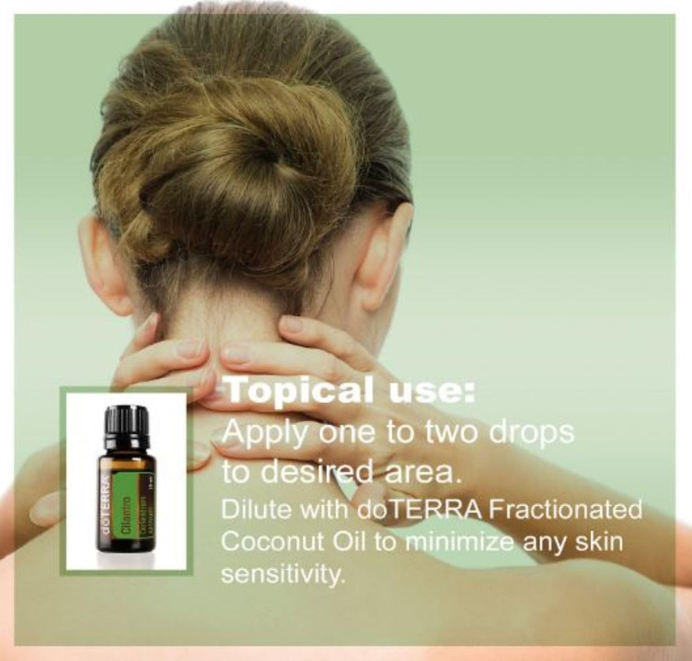 doTERRA Cilantro essential oil in a bright culinary setting.