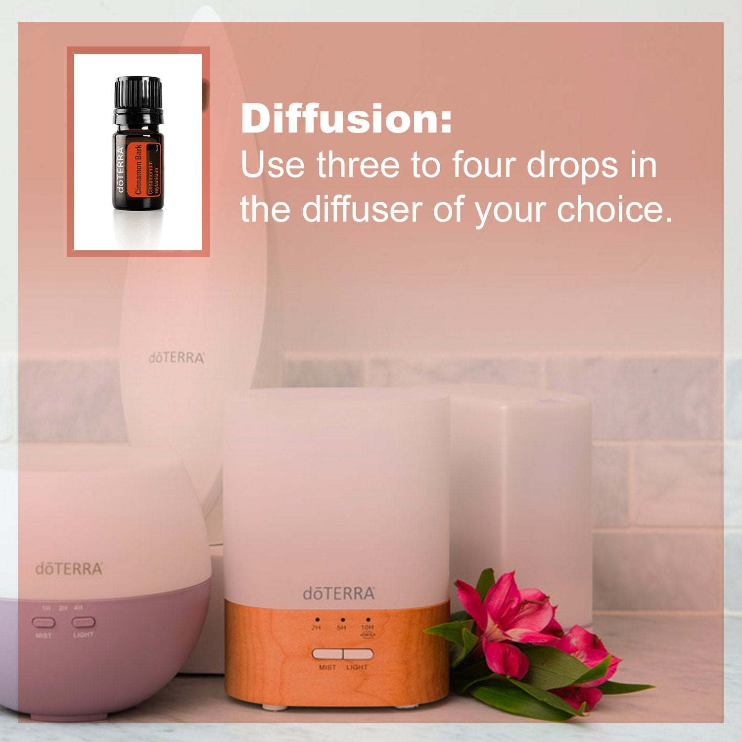 doTERRA Cinnamon Essential Oil 5ml dropper—precise doses for blends and diffuser recipes.