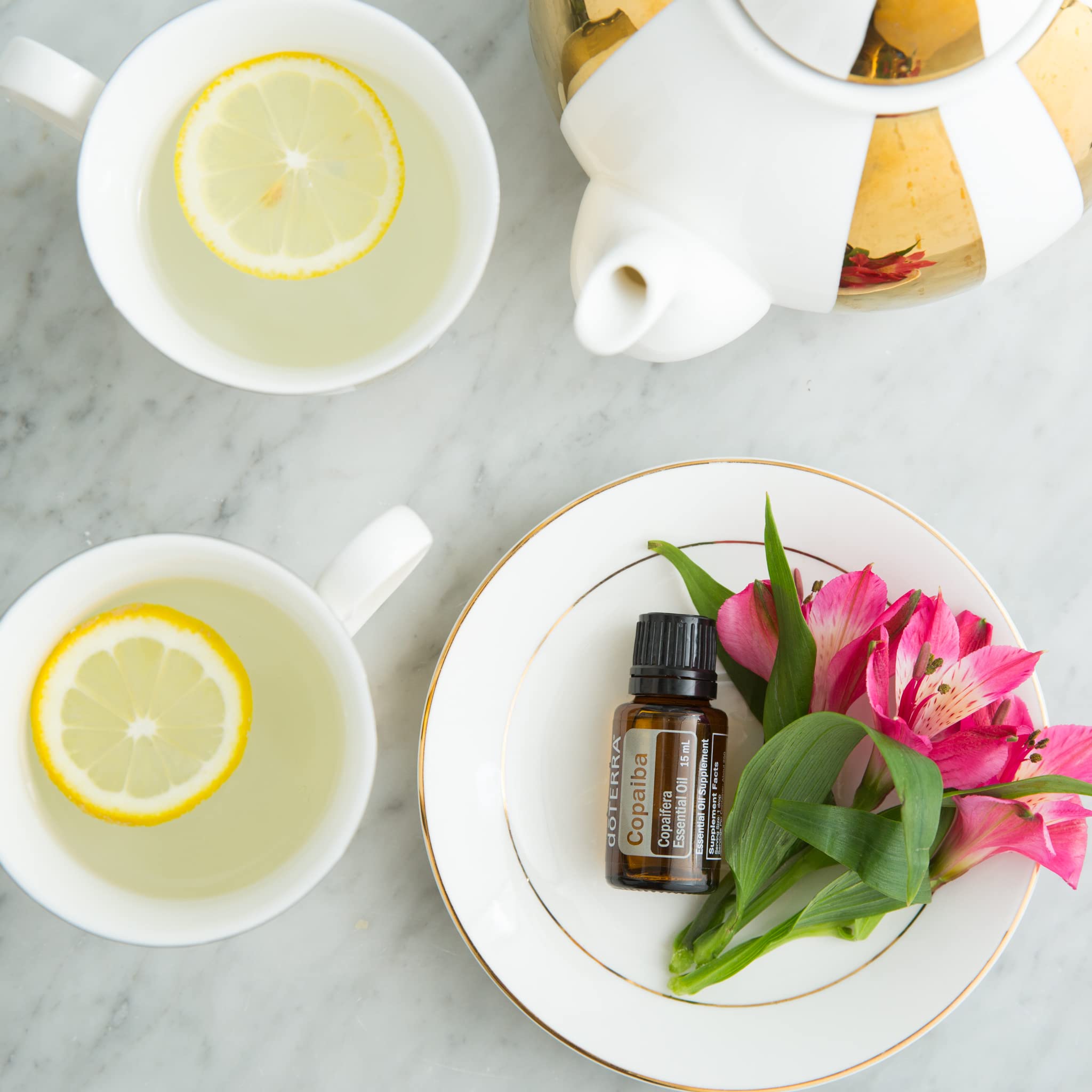 doTERRA Copaiba forest resin source supporting natural wellness.