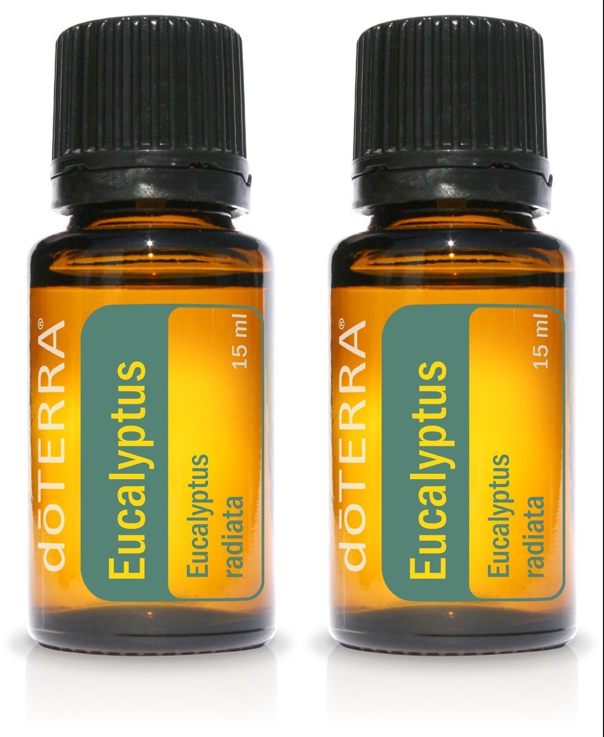 doTERRA Eucalyptus Radiata 15ml bottle supports clear breathing and air freshness