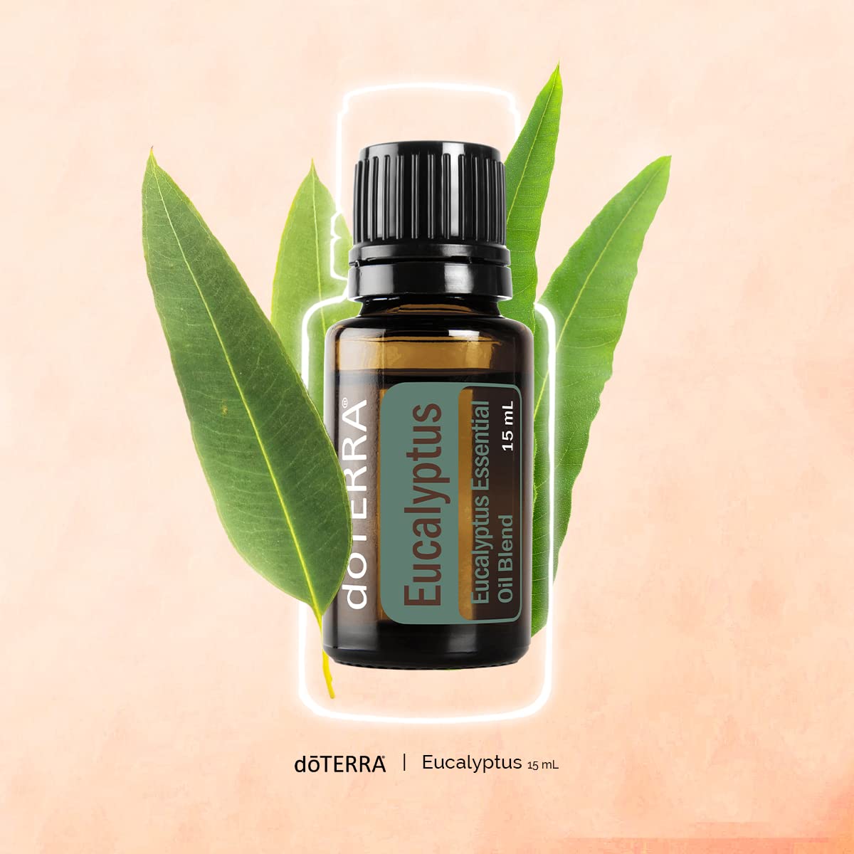 doTERRA Eucalyptus Radiata diffuser aroma for invigorating room ambiance
