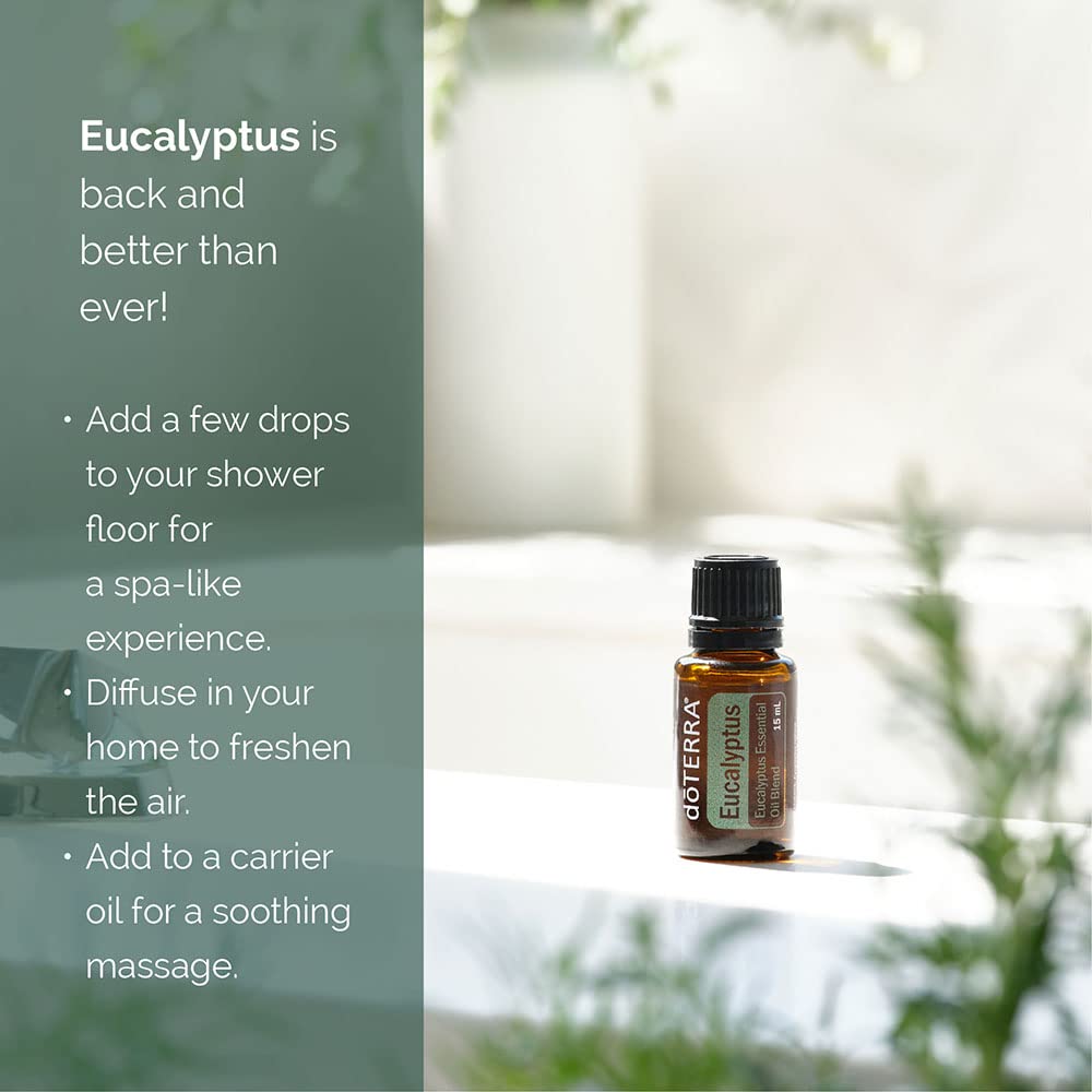 doTERRA Eucalyptus Radiata diffuser setup for a refreshing room aroma