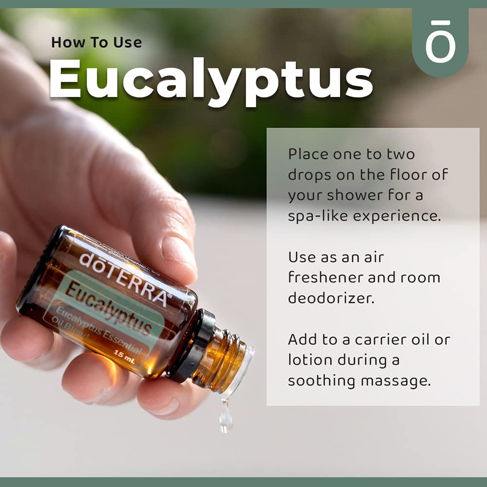 doTERRA Eucalyptus Radiata leaf close-up illustrating natural botanical source