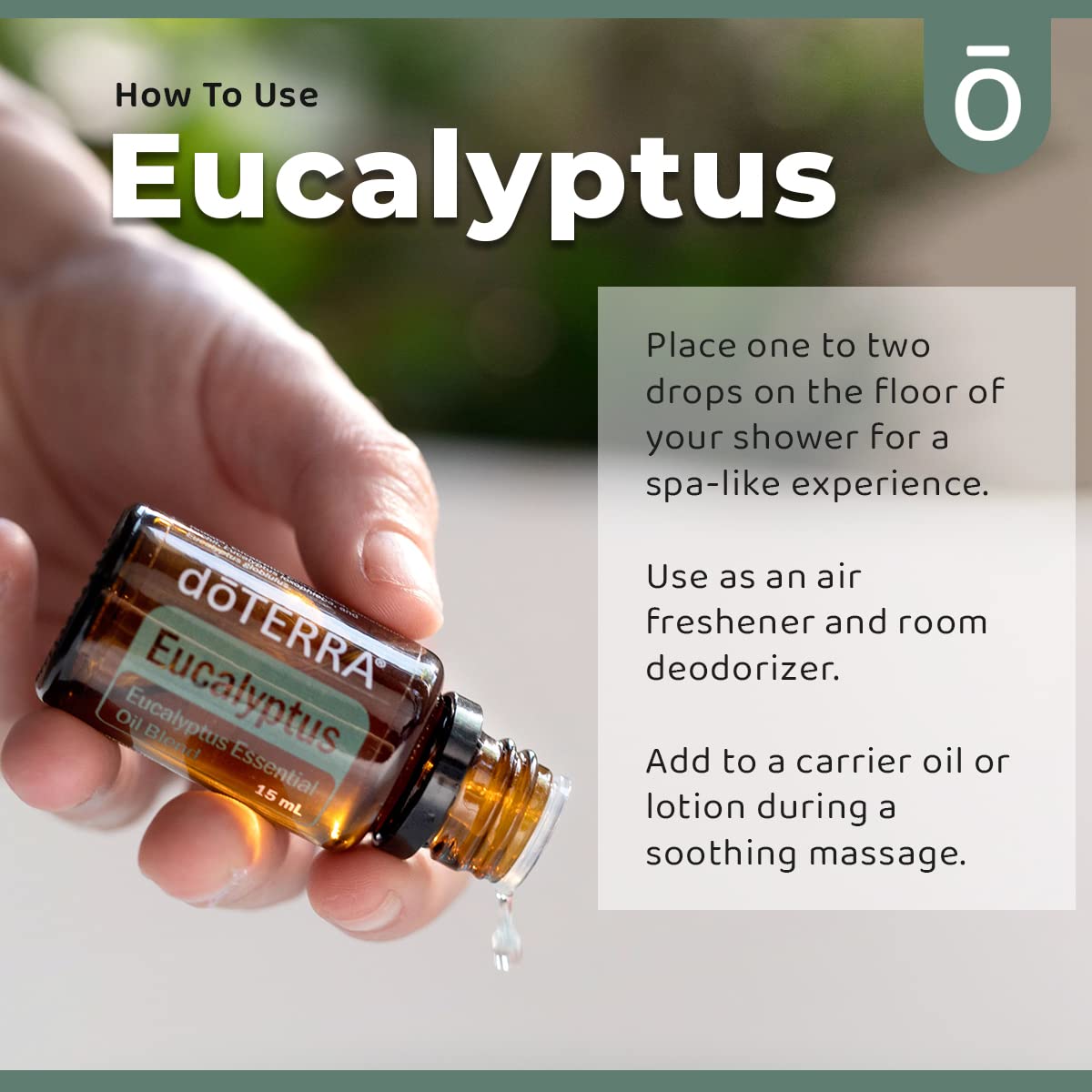doTERRA Eucalyptus Radiata used in massage for soothing tired muscles