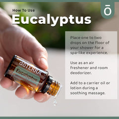doTERRA Eucalyptus Radiata used in massage for soothing tired muscles