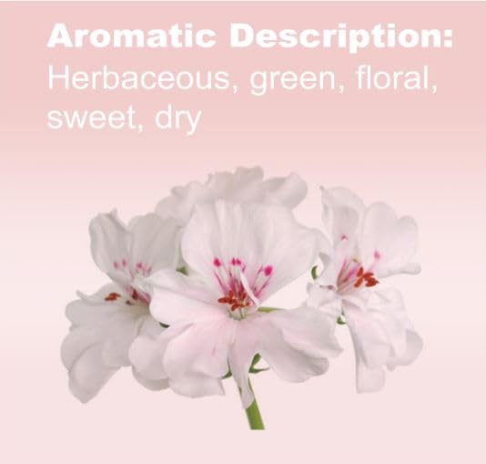 doTERRA Geranium essential oil dropper for precise application.
