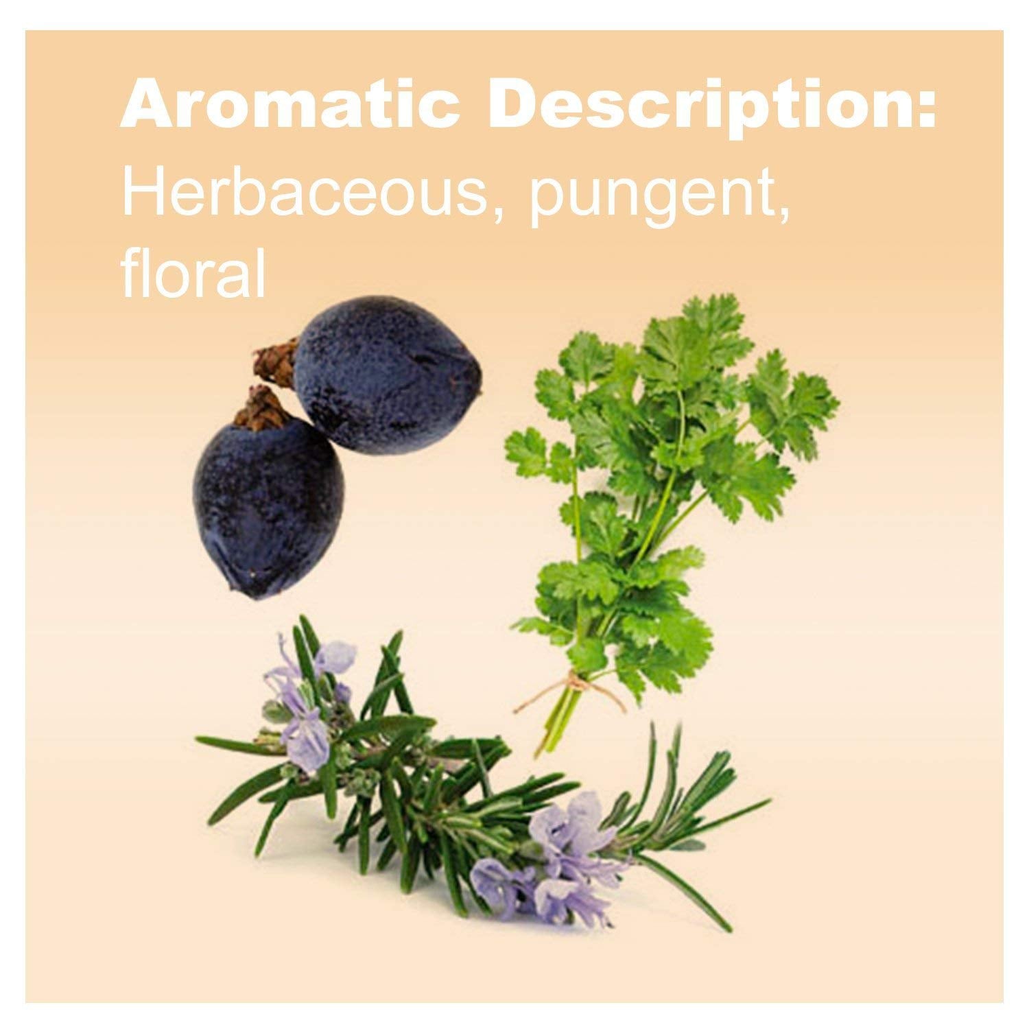 doTERRA Zendocrine juniper berry bottle, showcasing a robust, cleansing-scent ideal for diffusion