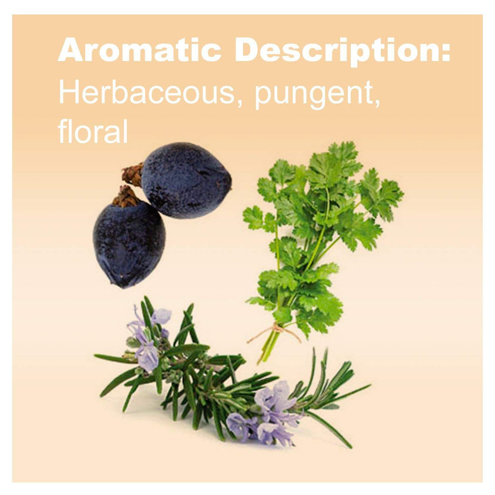 doTERRA Zendocrine juniper berry bottle, showcasing a robust, cleansing-scent ideal for diffusion