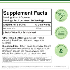Double Wood Berberine 500mg capsules close-up, easy-to-take supplement format.