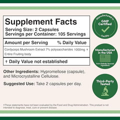Double Wood Cordyceps serving size capsule close-up for consistent daily intake.