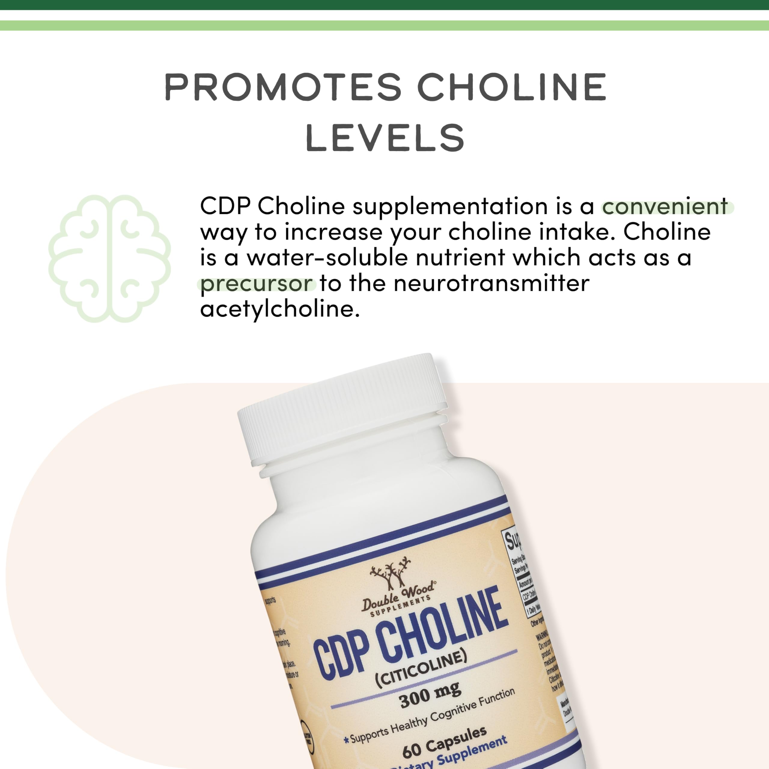 Double Wood CDP Choline box on desk suggests study or work routine.