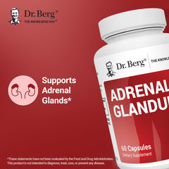 Dr. Berg Adrenal Glandular label closeup highlights quality standards.