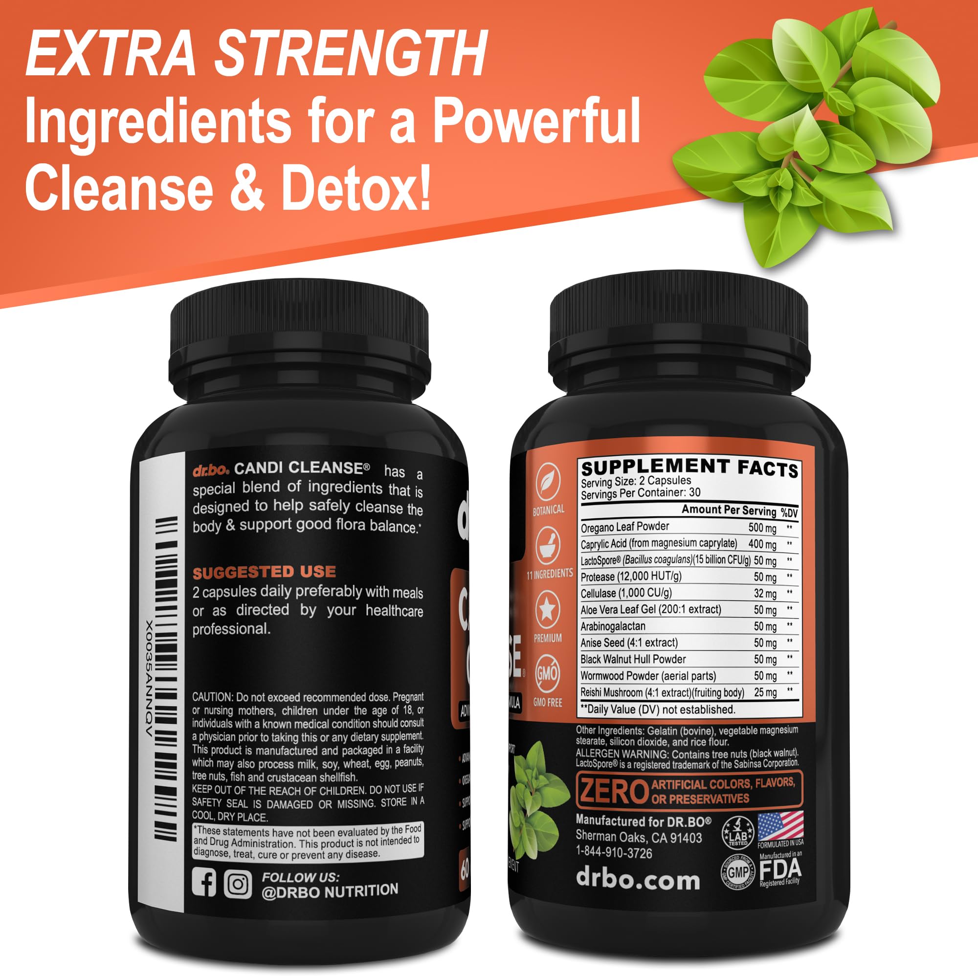 DR. BO Candi Cleanse digest support as part of daily routine